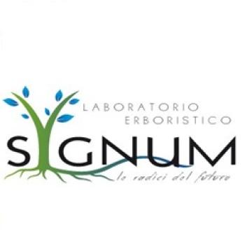 Sygnum