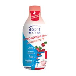 4321 SLIM BRUCIAGRAXCELL ACTIVE-CR