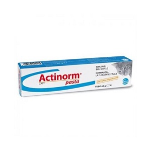 ACTINORM PASTA GATTI