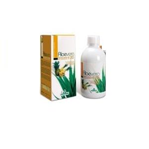 ALOE ANANAS PAPAJA SUCCO