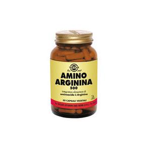 AMINO ARGININA 500