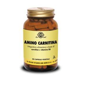 AMINO CARNITINA