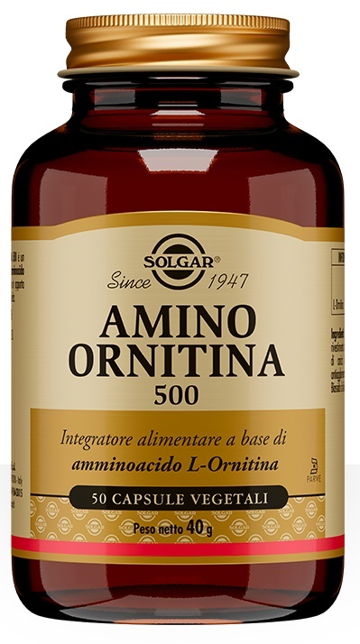 AMINO ORNITINA 500 50 CAPSULE