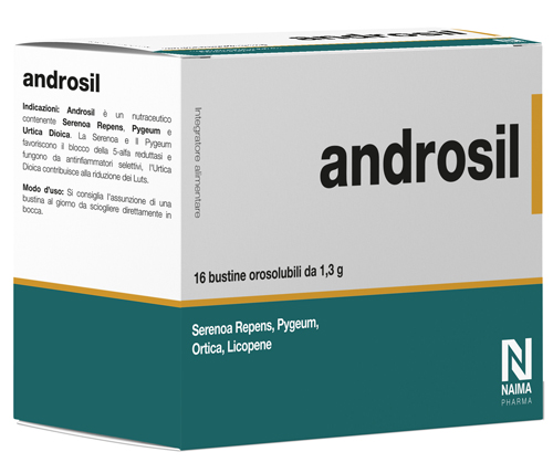 ANDROSIL 16 BUSTE OROSOLUBILI