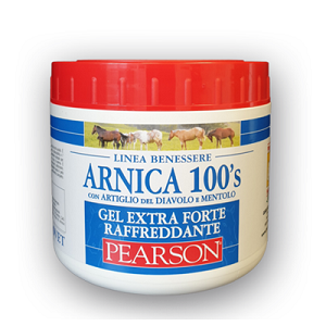ARNICA 100'S EXTRA FORTE EFFETTO RAFFREDANTE  500 ML