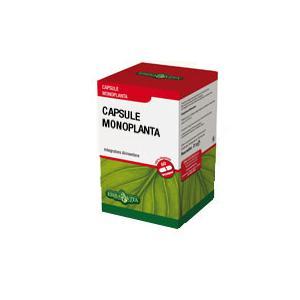 BOSWELLIA SERRATA 400 MG