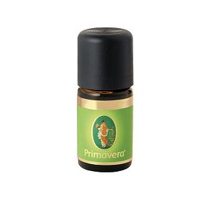 CANNELLA CORTECCIA 60% OLIO ESSENZIALE BIO
