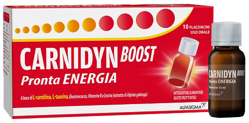 CARNIDYN BOOST 10 FLACONI