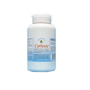 CARTESSE