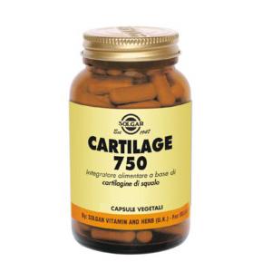 CARTILAGE 750 180Capsule