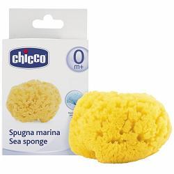 CHICCO SPUGNA MARE MEDIA