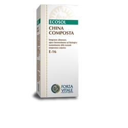 CHINA COMP ECOSOL