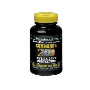 COMMANDO 2000