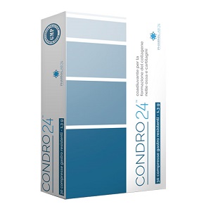 CONDRO24 COMPRESSE