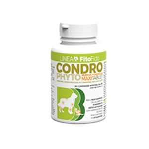 CONDROPHYTO 60 COMPRESSE 1 GR