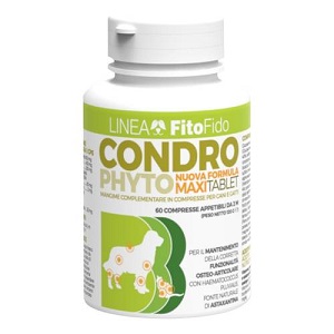 CONDROPHYTO 60 COMPRESSE 2 GR