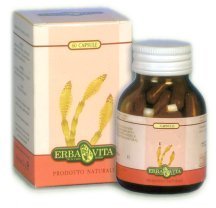CURCUMA 450 MG