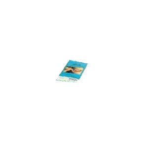 DENTOFIL 20Pezzi