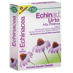 ECHINAID URTO
