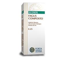 FAGUS COMP ECOSOL