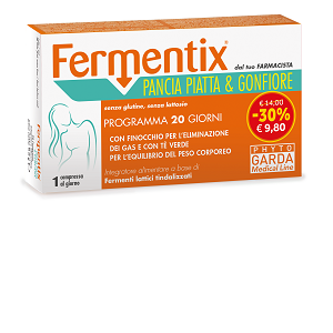 FERMENTIX PANCIA PIATTA