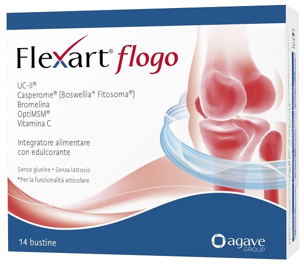 FLEXART FLOGO 14 BUSTE NF
