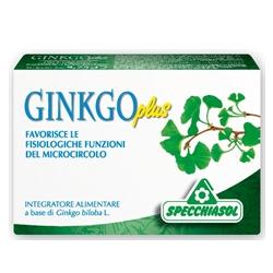GINKGO PLUS