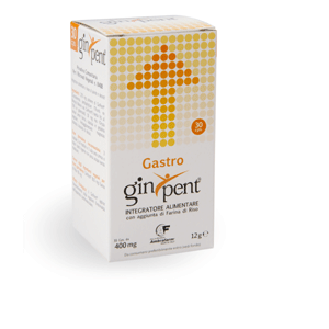 GINPENT GASTRO