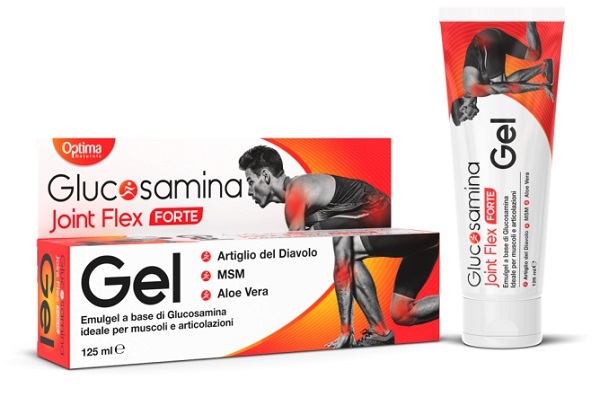 GLUCOSAMINA JOINT FLEX GEL FORTE