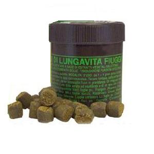 GRANI DI LUNGAVITA FIUGGI