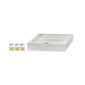HAIRSYSTEM PLUS Lozione STAMCELL