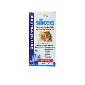 HUBNER SILICEA GEL GASTROINTESTINALE