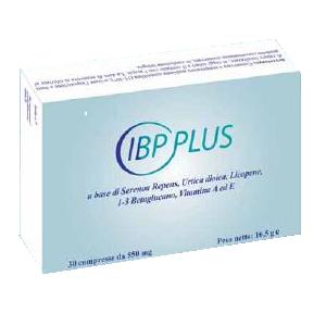 IBP PLUS