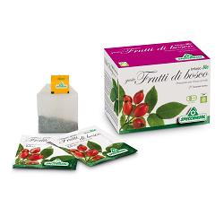 INFUSO BIO FRUTTABOSCO