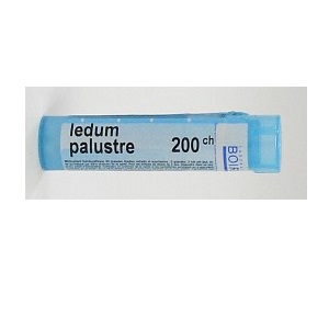 LEDUM PALUSTRE 200CH GRANULI