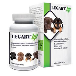 LEGART UP