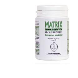 MATRIX PAPAYA FERMENT+LB Acidophilus
