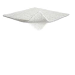 MELGISORB AG MEDICAZIONE 10X10