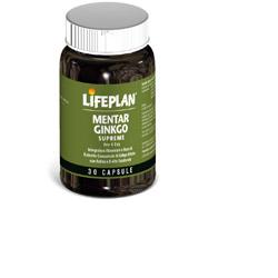 MENTAR GINKGO
