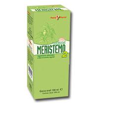 MERISTEMO YNKHAS 2