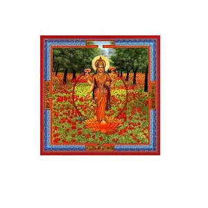 NEESHA-MA GOCCE 30 ML