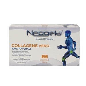NEOGELA 28 BUSTE