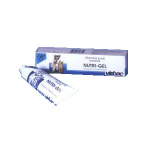NUTRIPLUS GEL PREMISCELA