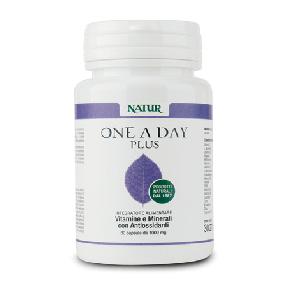 ONE A DAY PLUS