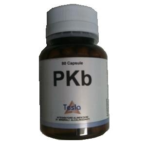 PKB Capsule