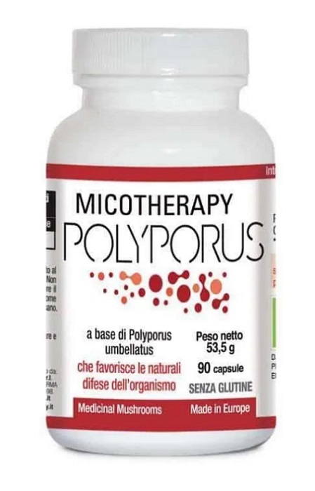 POLYPORUS MICOTHERAPY 90 CAPSULE