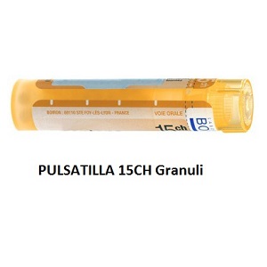 PULSATILLA 15CH GRANULI