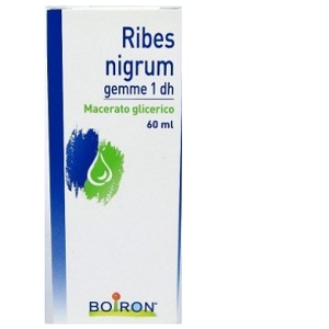RIBES NIGRUM 60 ML MG