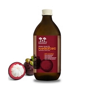 SALUGEA SUCCO MANGOSTANO 500ML