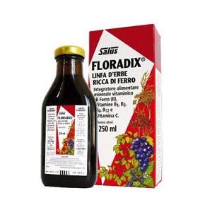 Salus FLORADIX Sciroppo